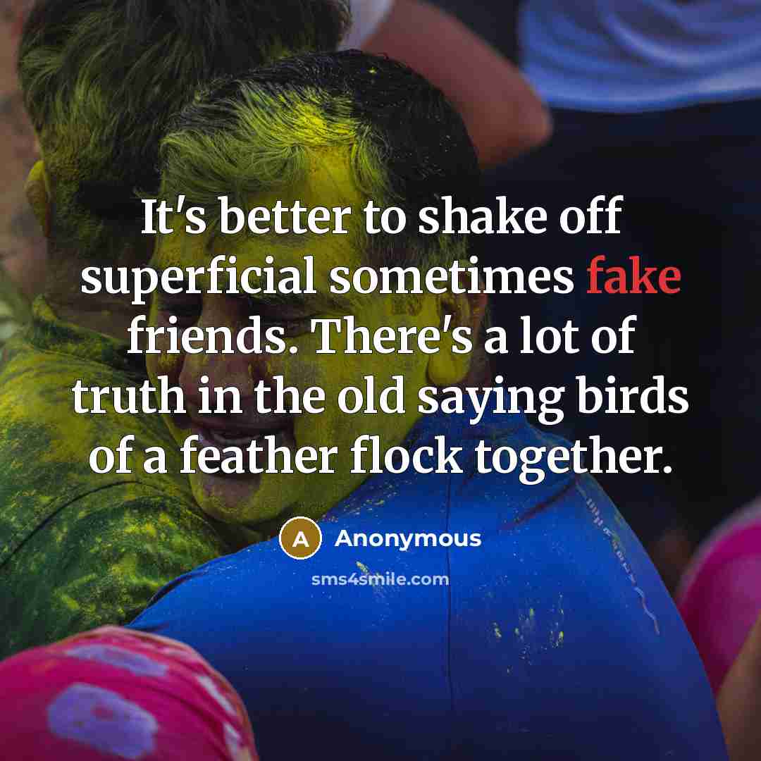 “It's better to shake off superficial sometimes fake friends. There's…” quote by Anonymous