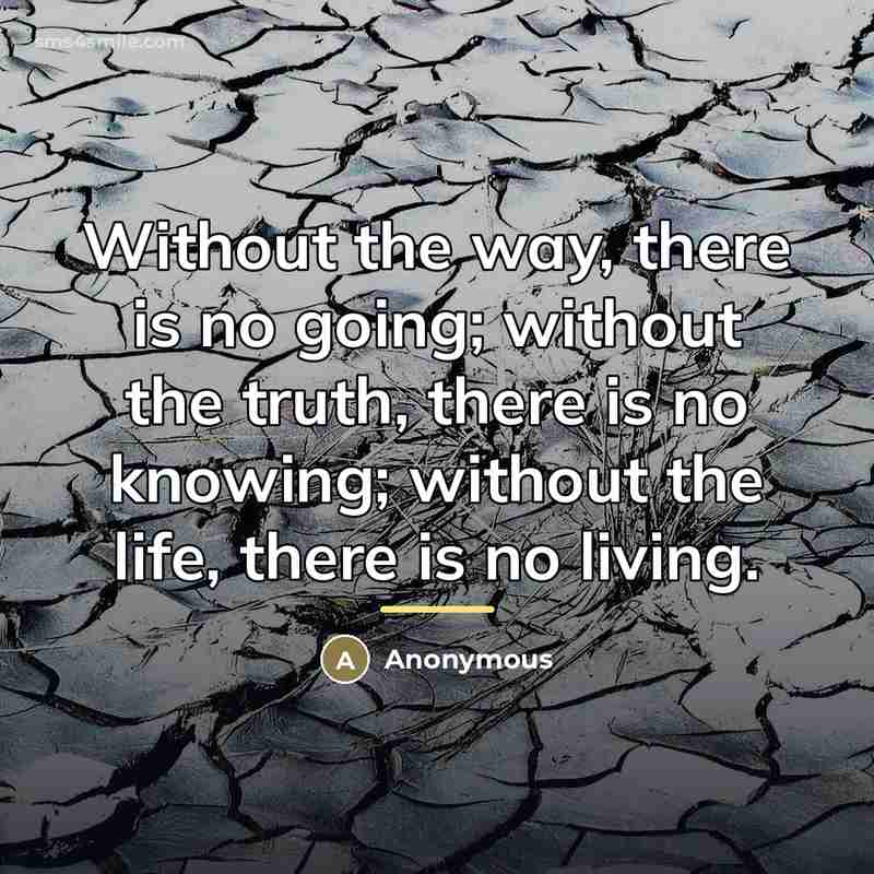 “Without the way, there is no going; without the truth,…” quote by Anonymous
