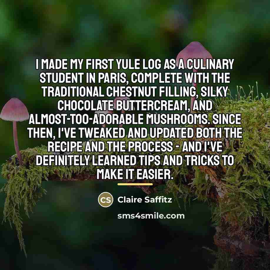 “I made my first Yule Log as a culinary student…” quote by Claire Saffitz