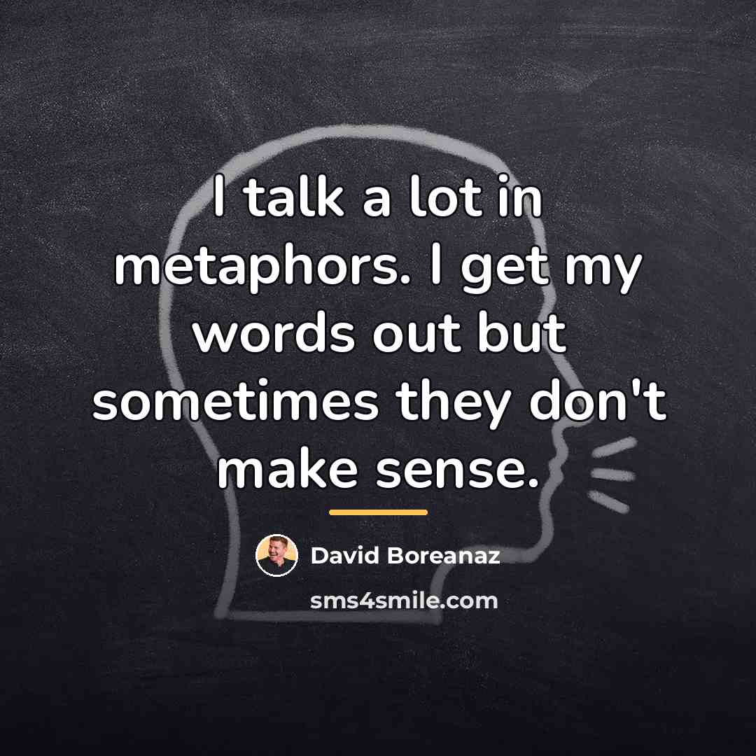 “I talk a lot in metaphors. I get my words…” quote by David Boreanaz