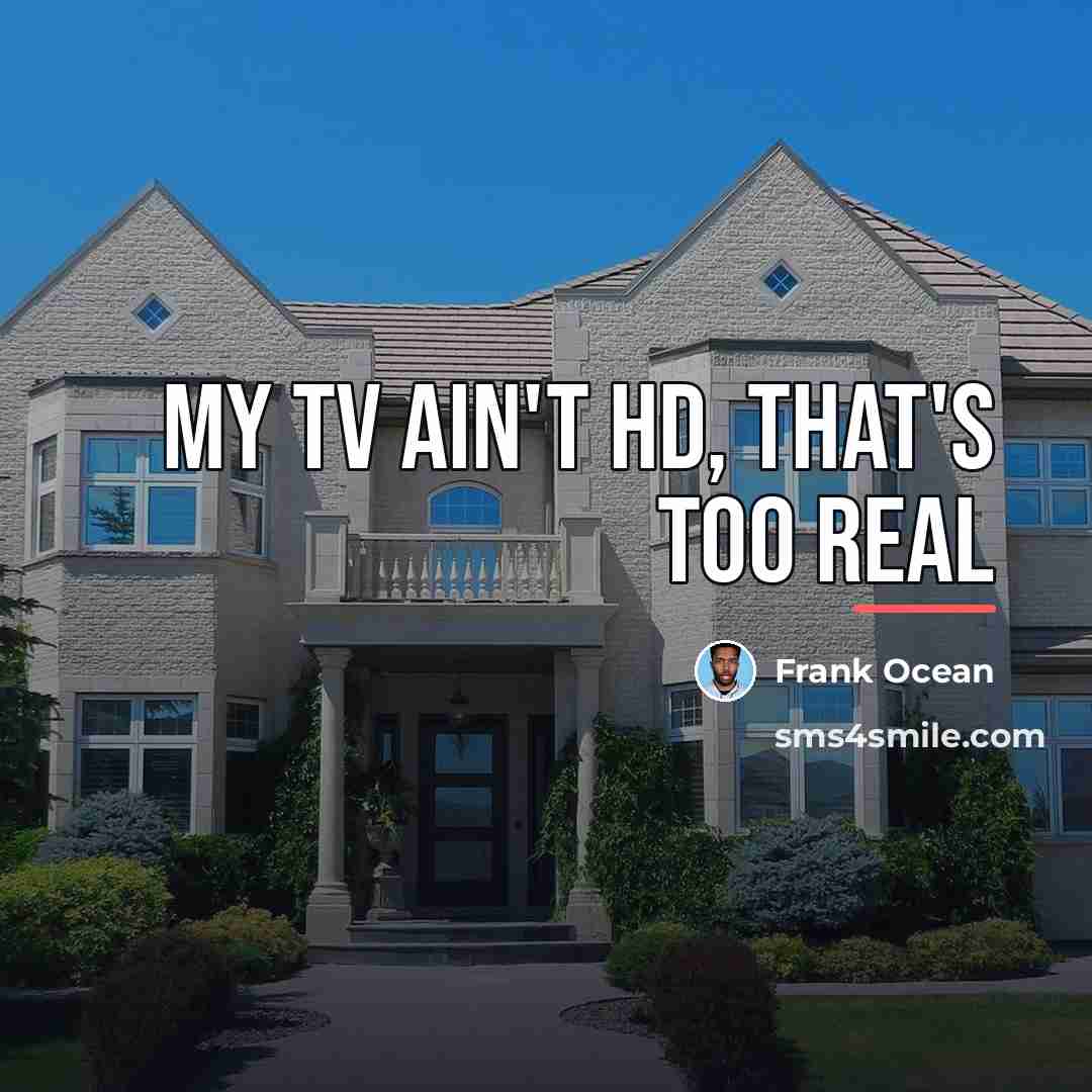 “My TV ain't HD, that's too real…” quote by Frank Ocean
