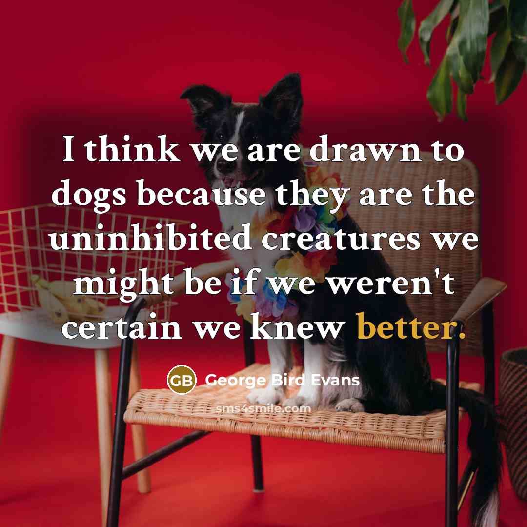 “I think we are drawn to dogs because they are the uninhibited creatures we might be if we weren't certain we knew better.” quote by George Bird Evans