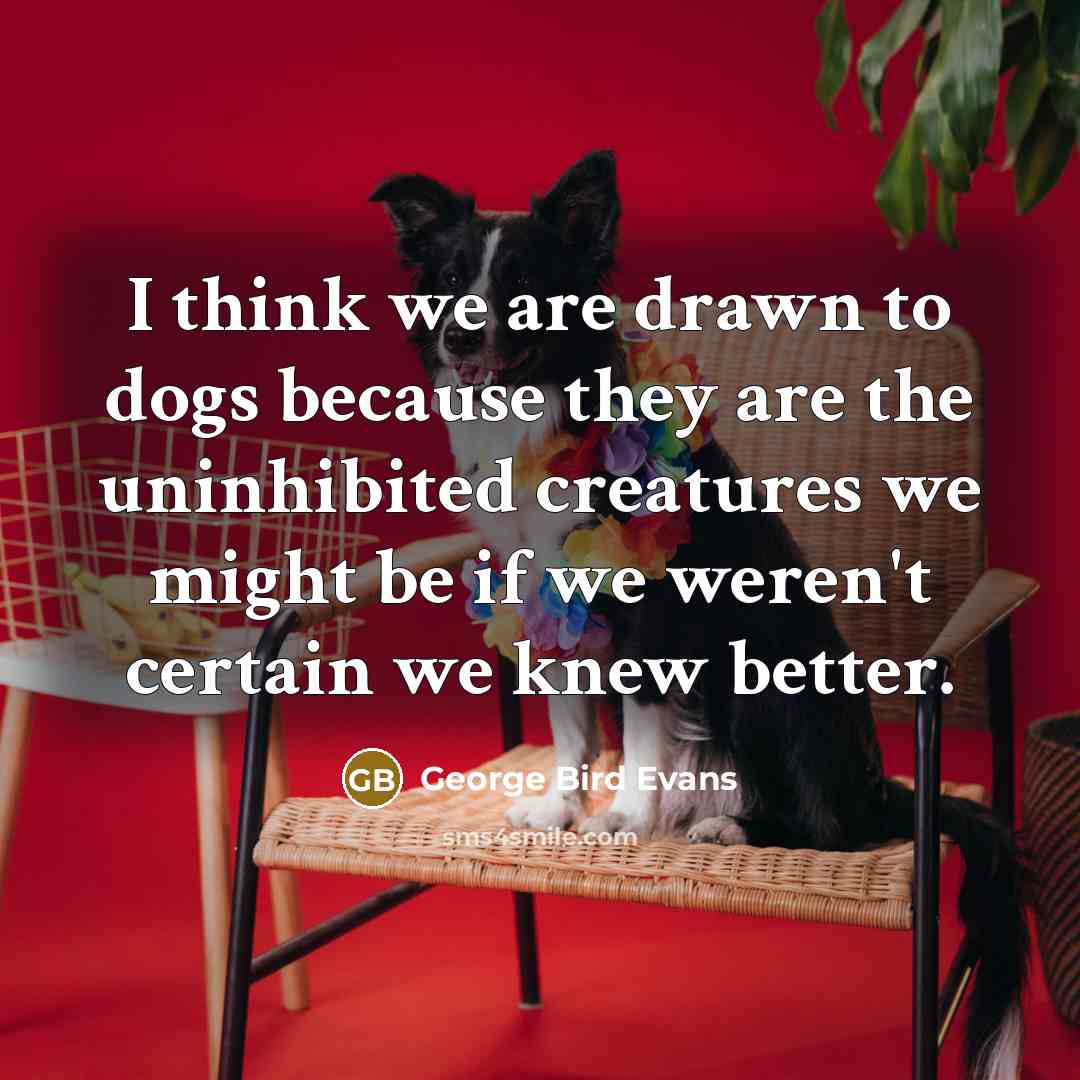 “I think we are drawn to dogs because they are…” quote by George Bird Evans