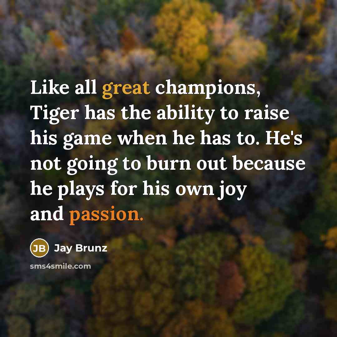 “Like all great champions, Tiger has the ability to raise his game when he has to. He's not going to burn out because he plays for his own joy and passion.” quote by Jay Brunz