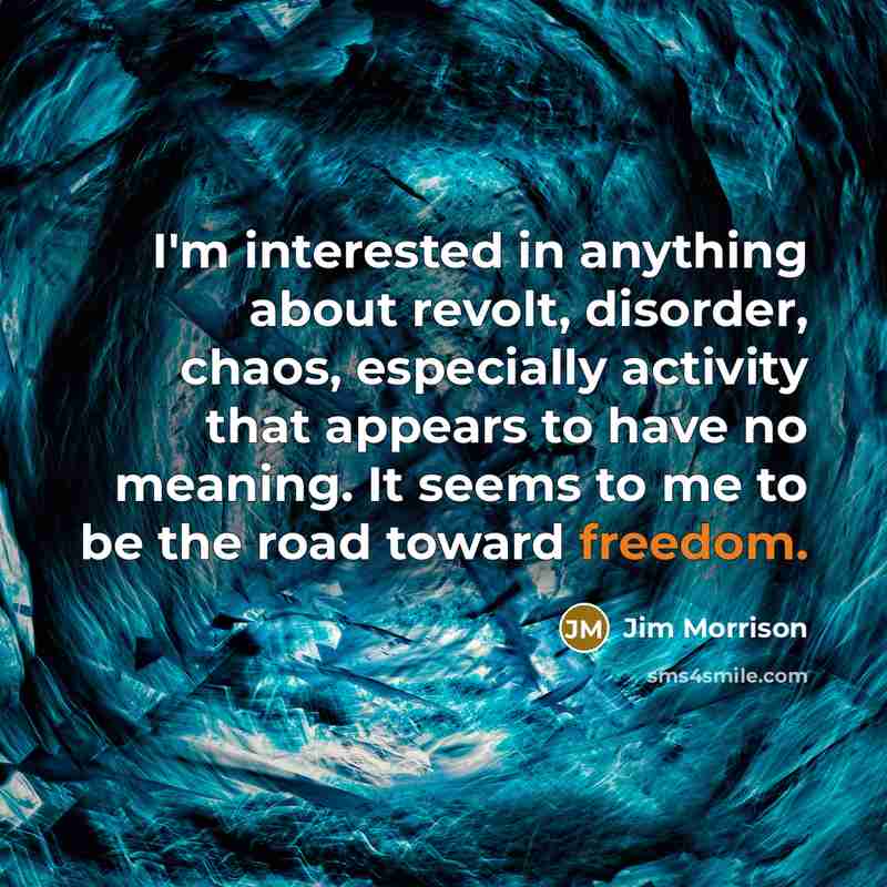 “I'm interested in anything about revolt, disorder, chaos, especially activity…” quote by Jim Morrison
