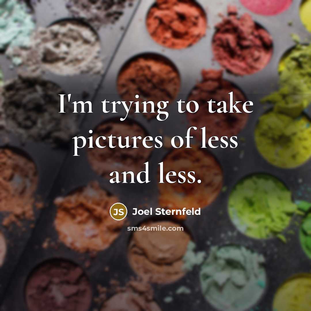 “I'm trying to take pictures of less and less.…” quote by Joel Sternfeld