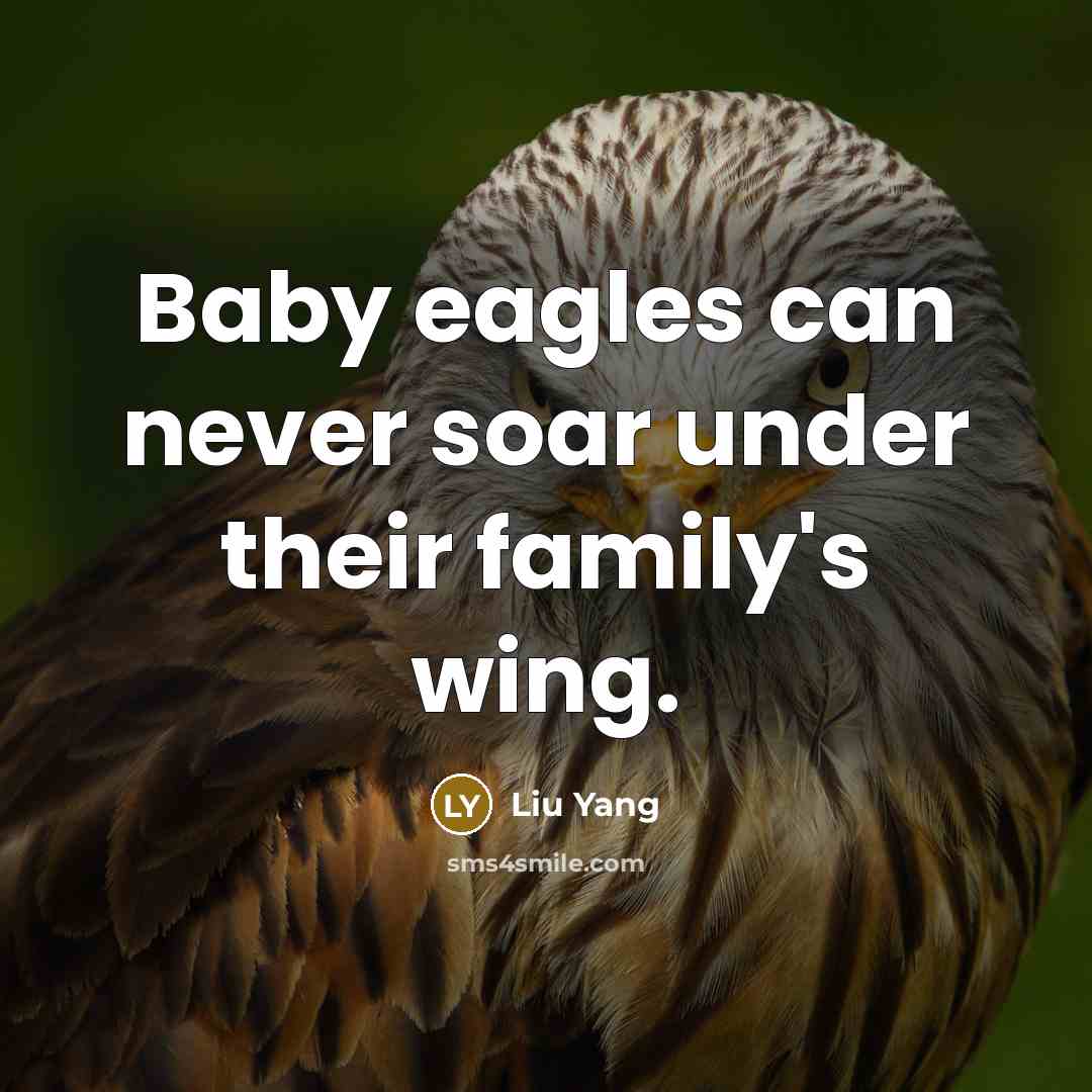 “Baby eagles can never soar under their family's wing.…” quote by Liu Yang