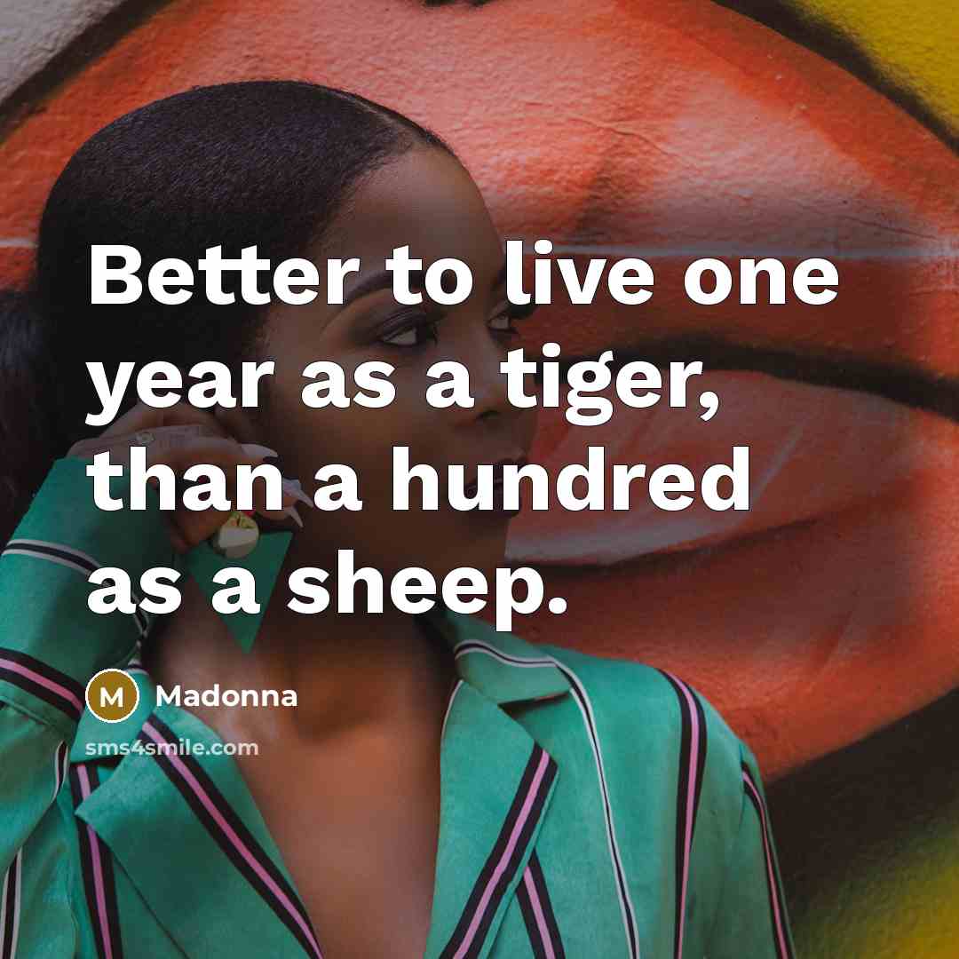 “Better to live one year as a tiger, than a…” quote by Madonna