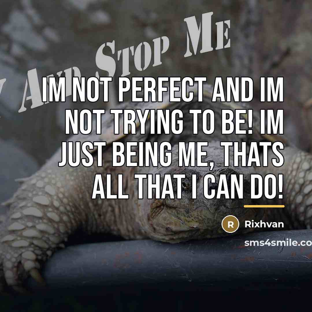 “Im Not Perfect And Im Not Trying To Be! Im…” quote by Rixhvan