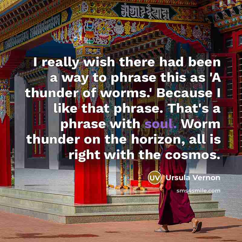“I really wish there had been a way to phrase…” quote by Ursula Vernon