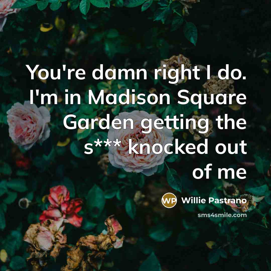 “You're damn right I do. I'm in Madison Square Garden…” quote by Willie Pastrano