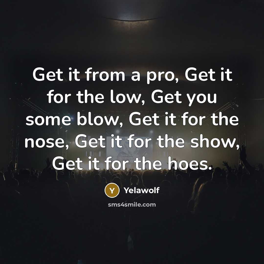 “Get it from a pro, Get it for the low, Get you some blow, Get it for the nose, Get it for the show, Get it for the hoes.” quote by Yelawolf
