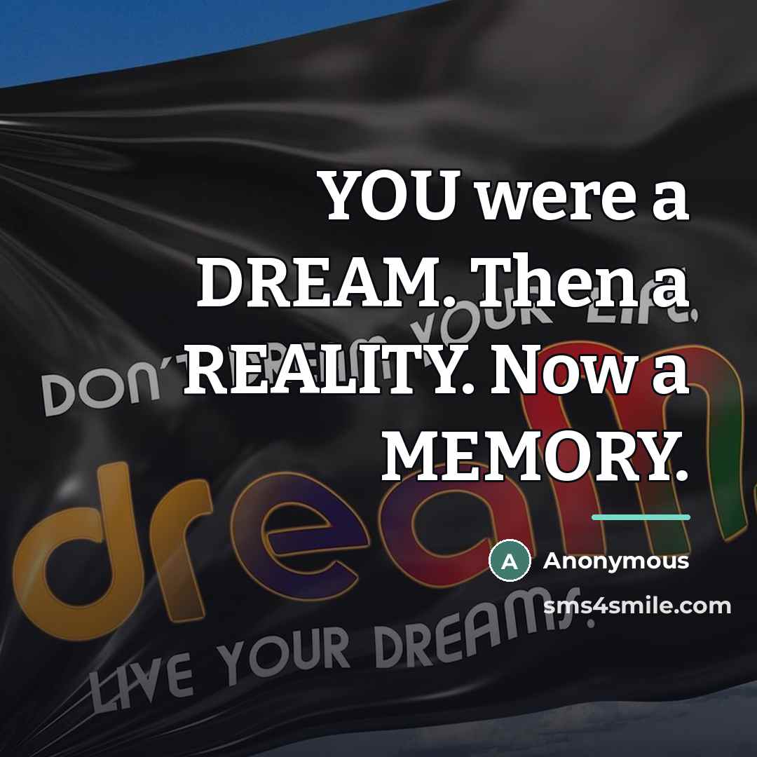 “YOU were a DREAM. Then a REALITY. Now a MEMORY.…” quote by Anonymous