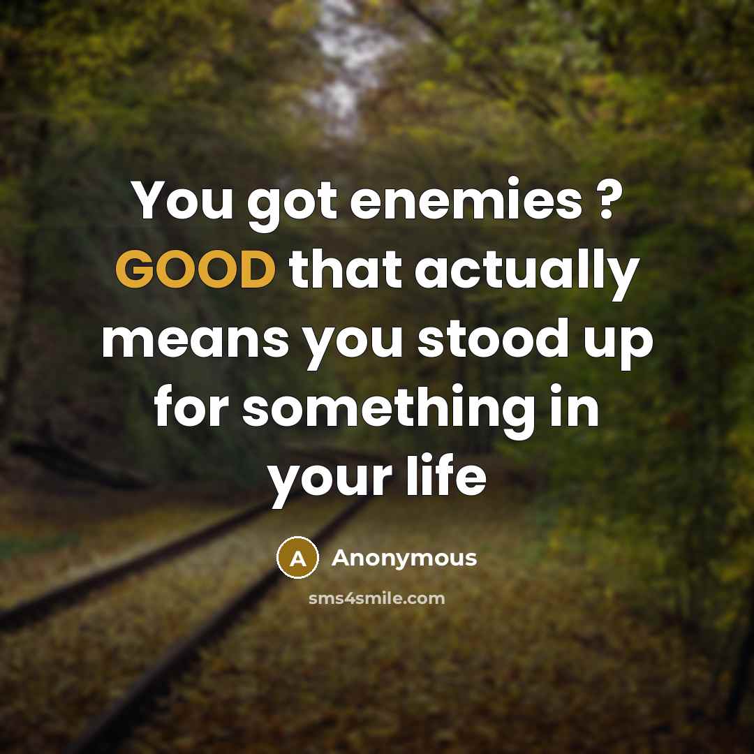 “You got enemies ? GOOD that actually means you stood up for something in your life” quote by Anonymous
