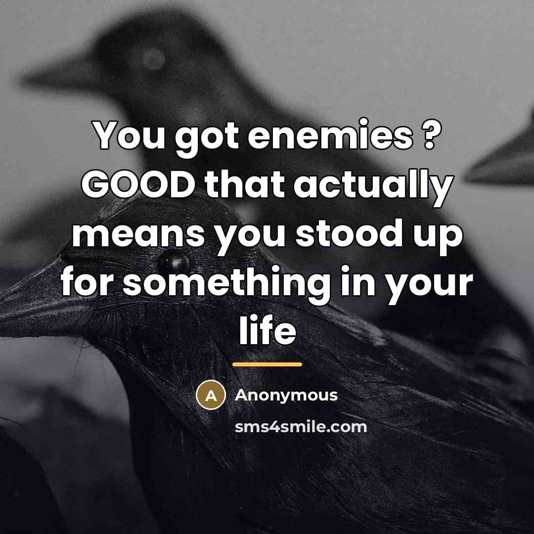 “You got enemies ? GOOD that actually means you stood…” quote by Anonymous