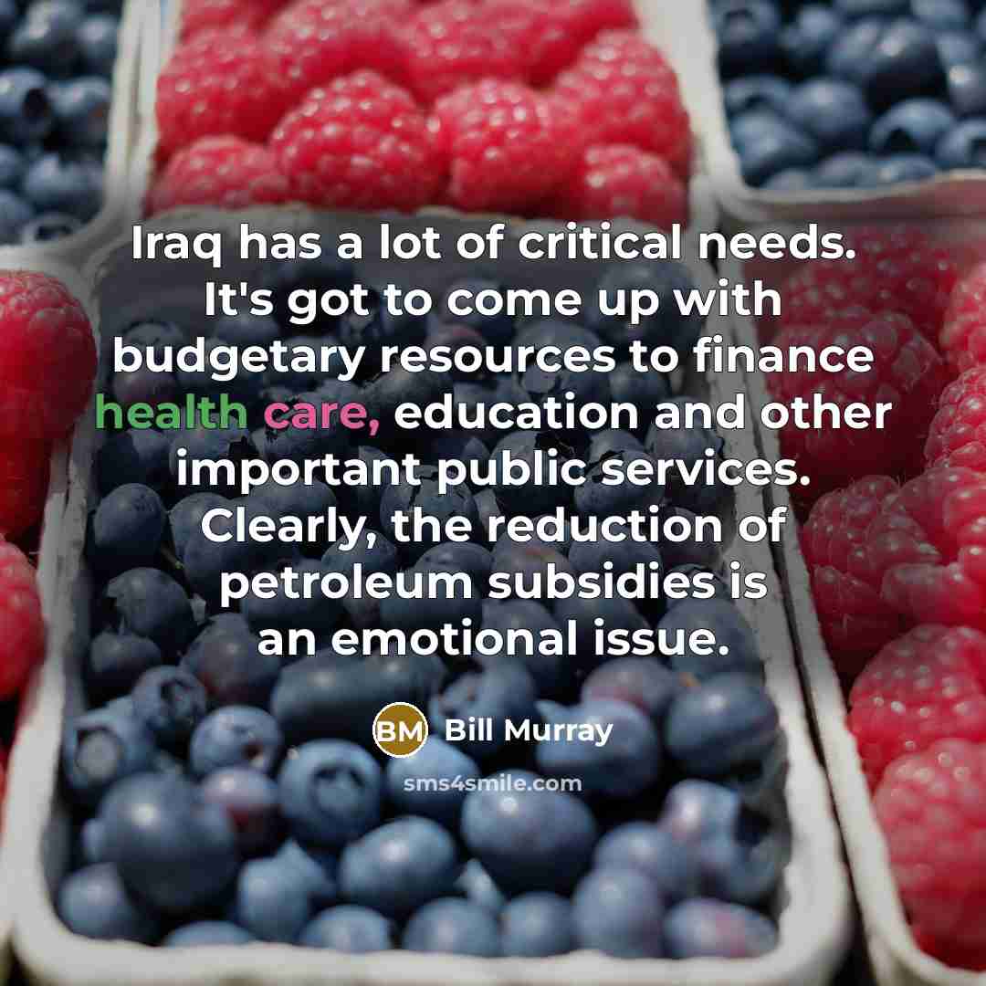 “Iraq has a lot of critical needs. It's got to…” quote by Bill Murray