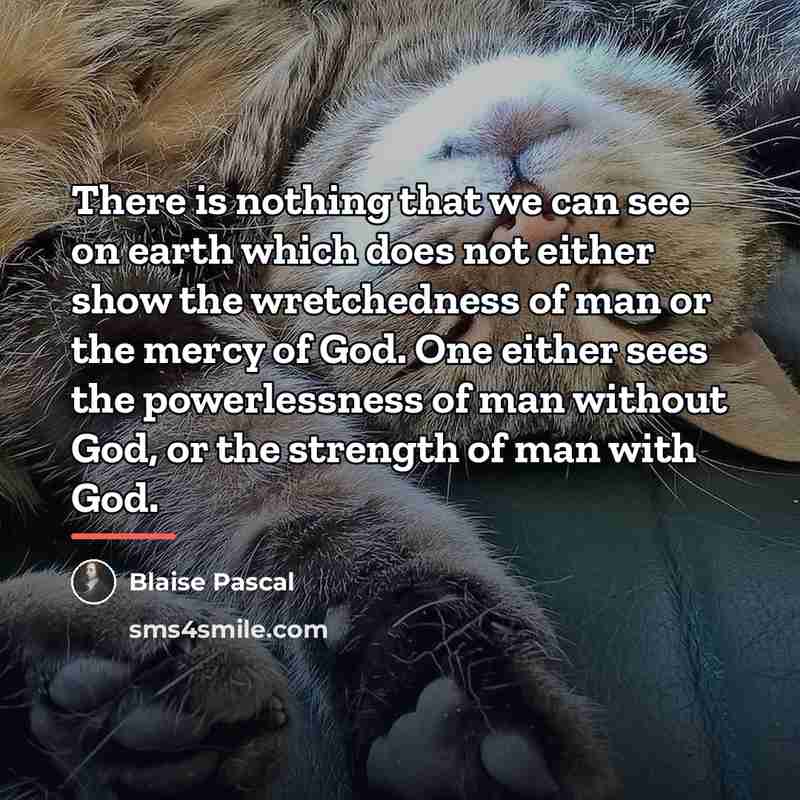 “There is nothing that we can see on earth which…” quote by Blaise Pascal