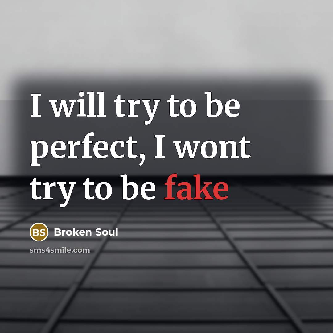 “I will try to be perfect, I wont try to…” quote by Broken Soul