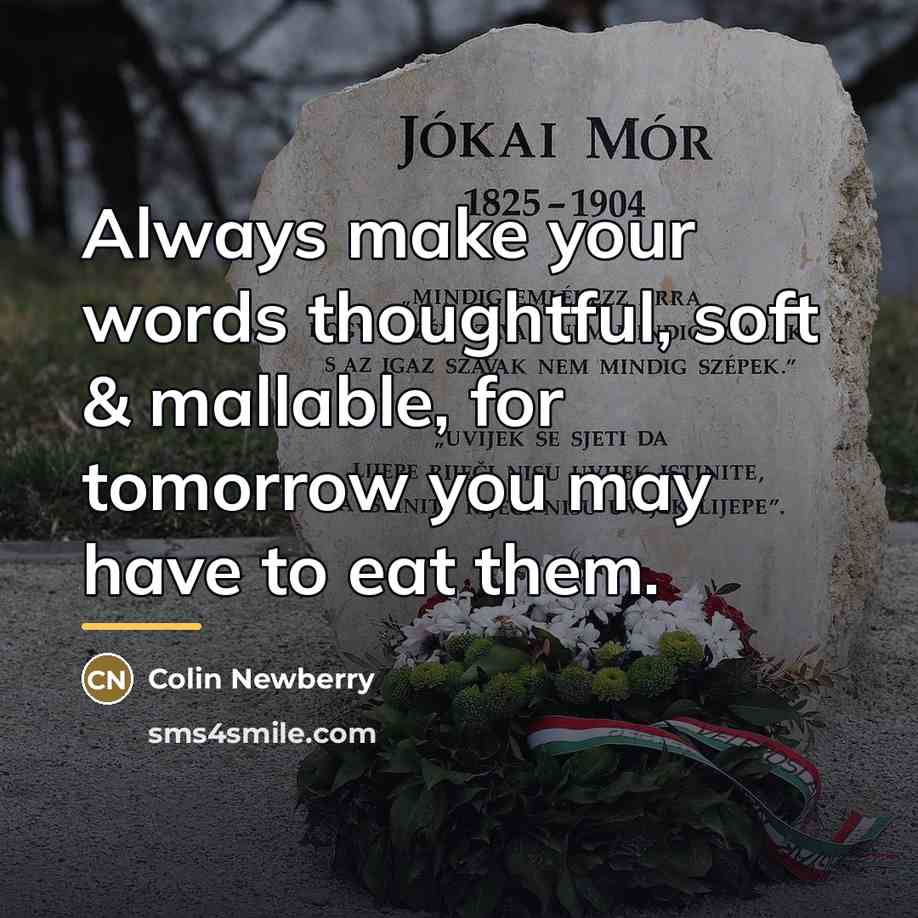 “Always make your words thoughtful, soft & mallable, for tomorrow…” quote by Colin Newberry