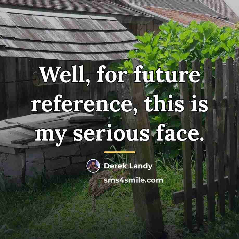 “Well, for future reference, this is my serious face.…” quote by Derek Landy