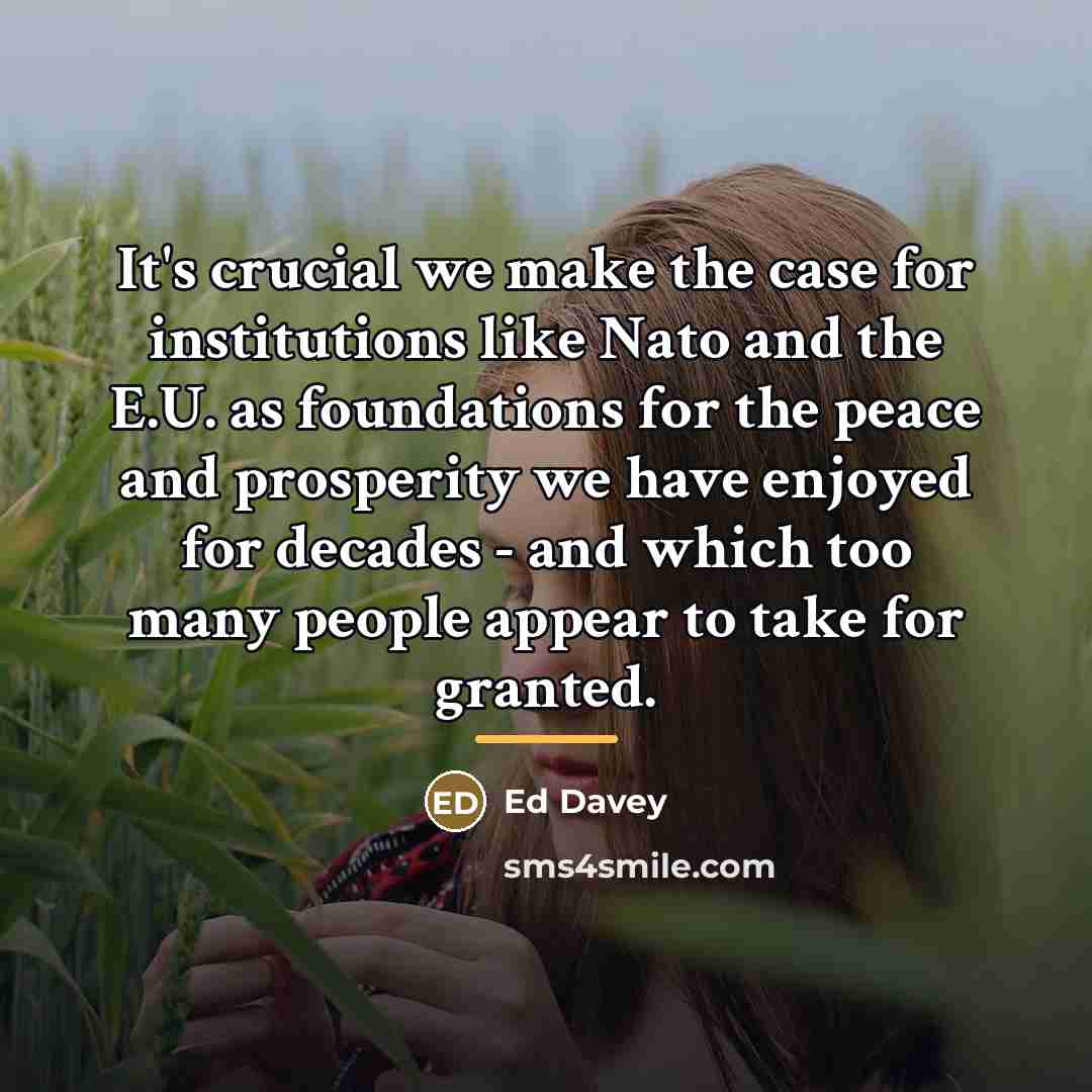 “It's crucial we make the case for institutions like Nato…” quote by Ed Davey