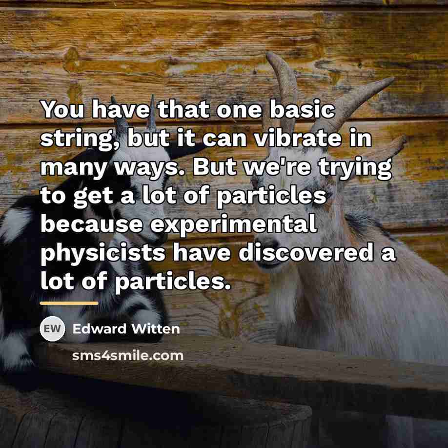 “You have that one basic string, but it can vibrate…” quote by Edward Witten
