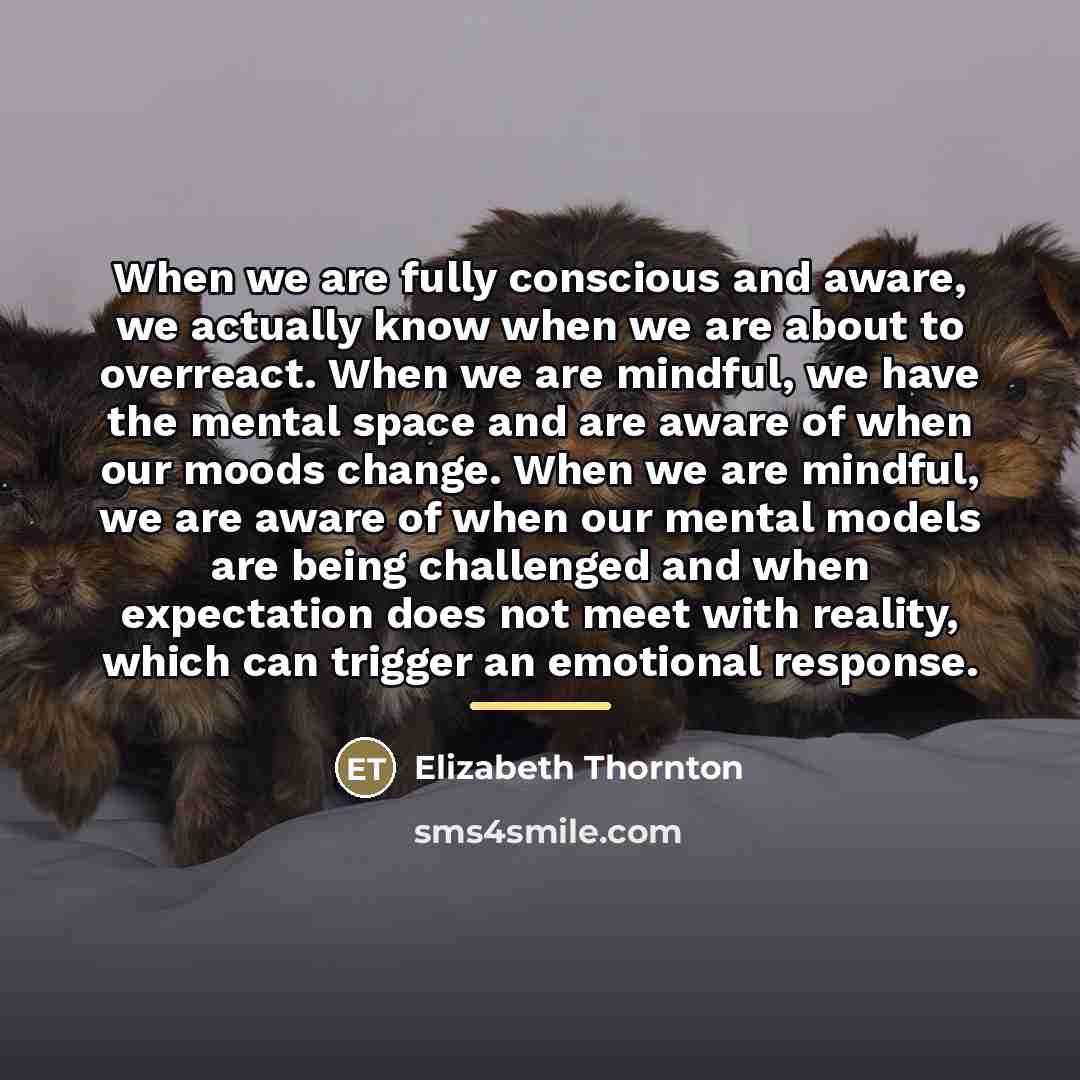 “When we are fully conscious and aware, we actually know…” quote by Elizabeth Thornton