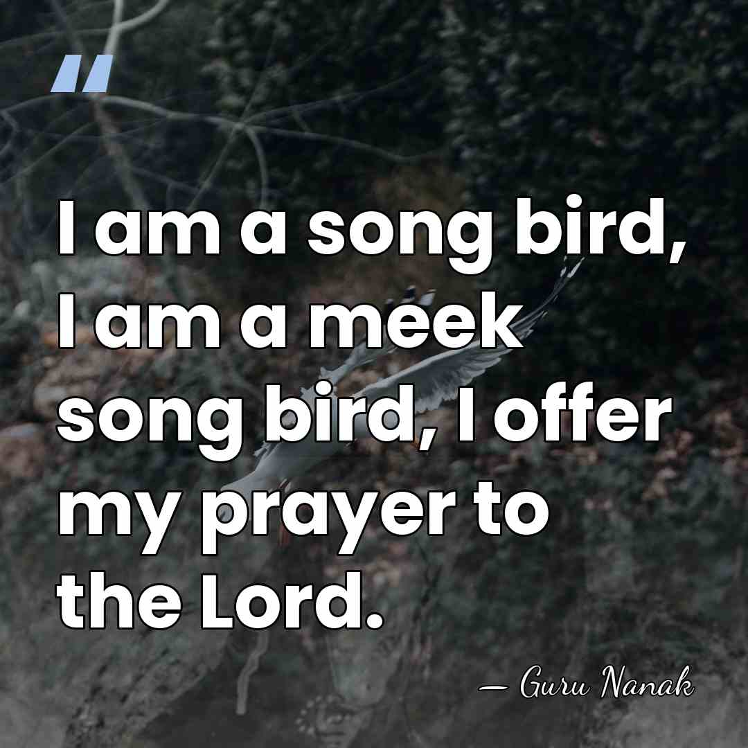 I am a song bird, I am a meek song bird, I&hellip; - Guru Nanak