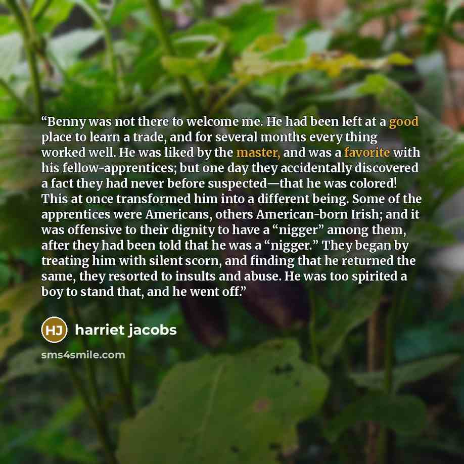 “Benny was not there to welcome me. He had been left at a good place to learn a trade, and for several months every thing worked well. He was liked by the master, and was a favorite with his fellow-apprentices; but one day they accidentally discovered a fact they had never before suspected—that he…” quote by Harriet Jacobs