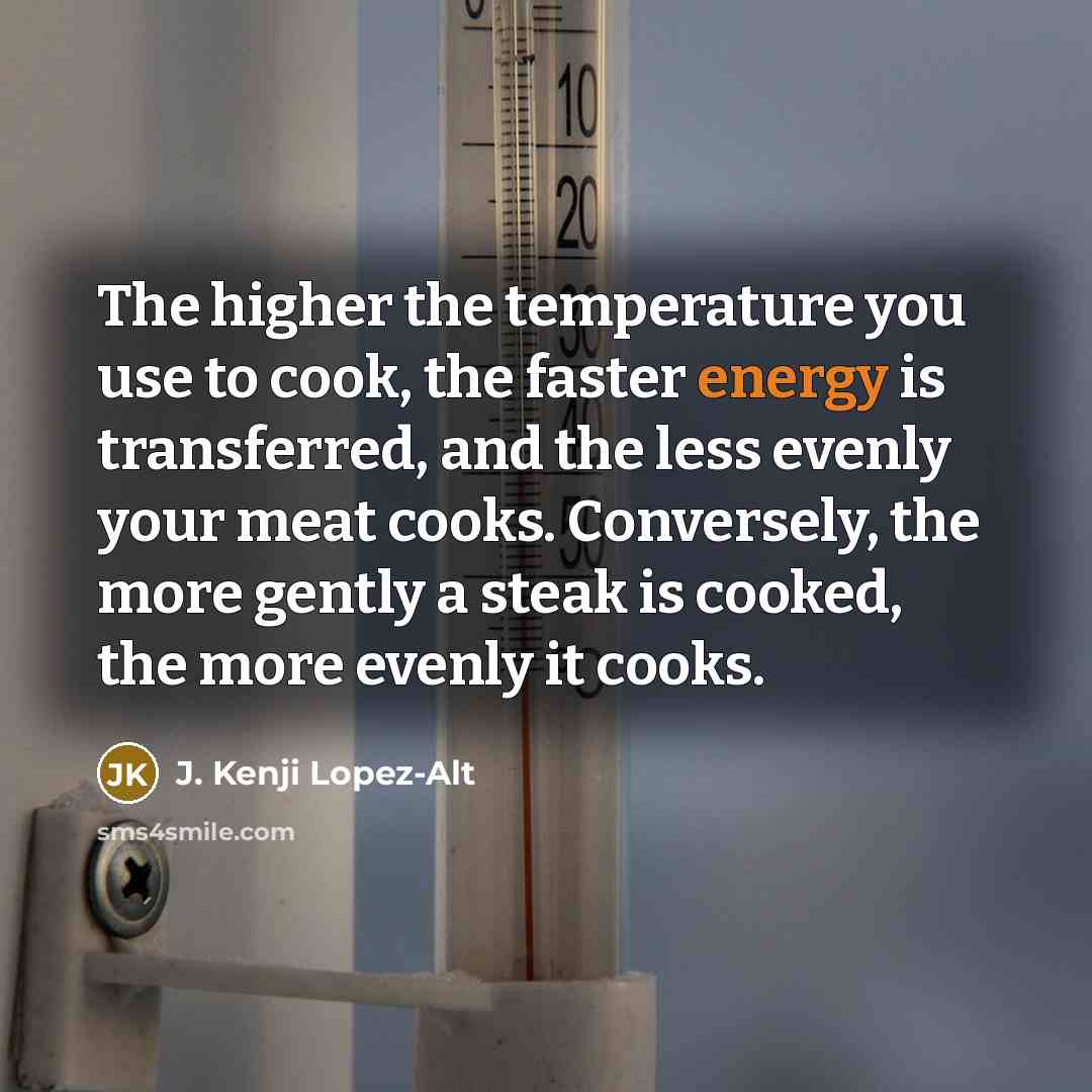 “The higher the temperature you use to cook, the faster…” quote by J. Kenji Lopez-Alt