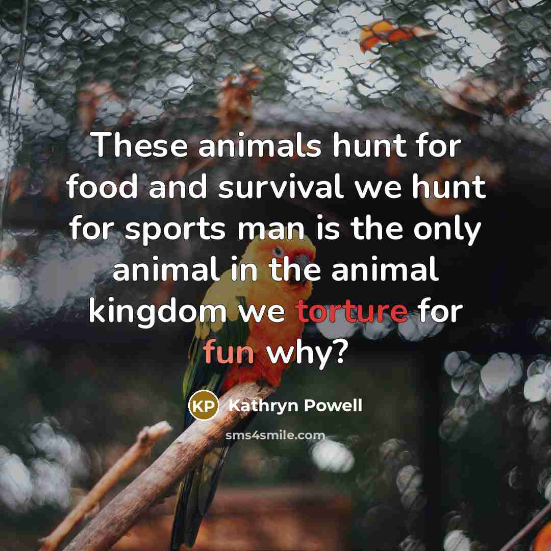 “These animals hunt for food and survival we hunt for…” quote by Kathryn Powell