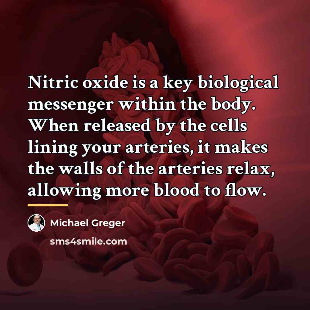 “Nitric oxide is a key biological messenger within the body.…” quote by Michael Greger