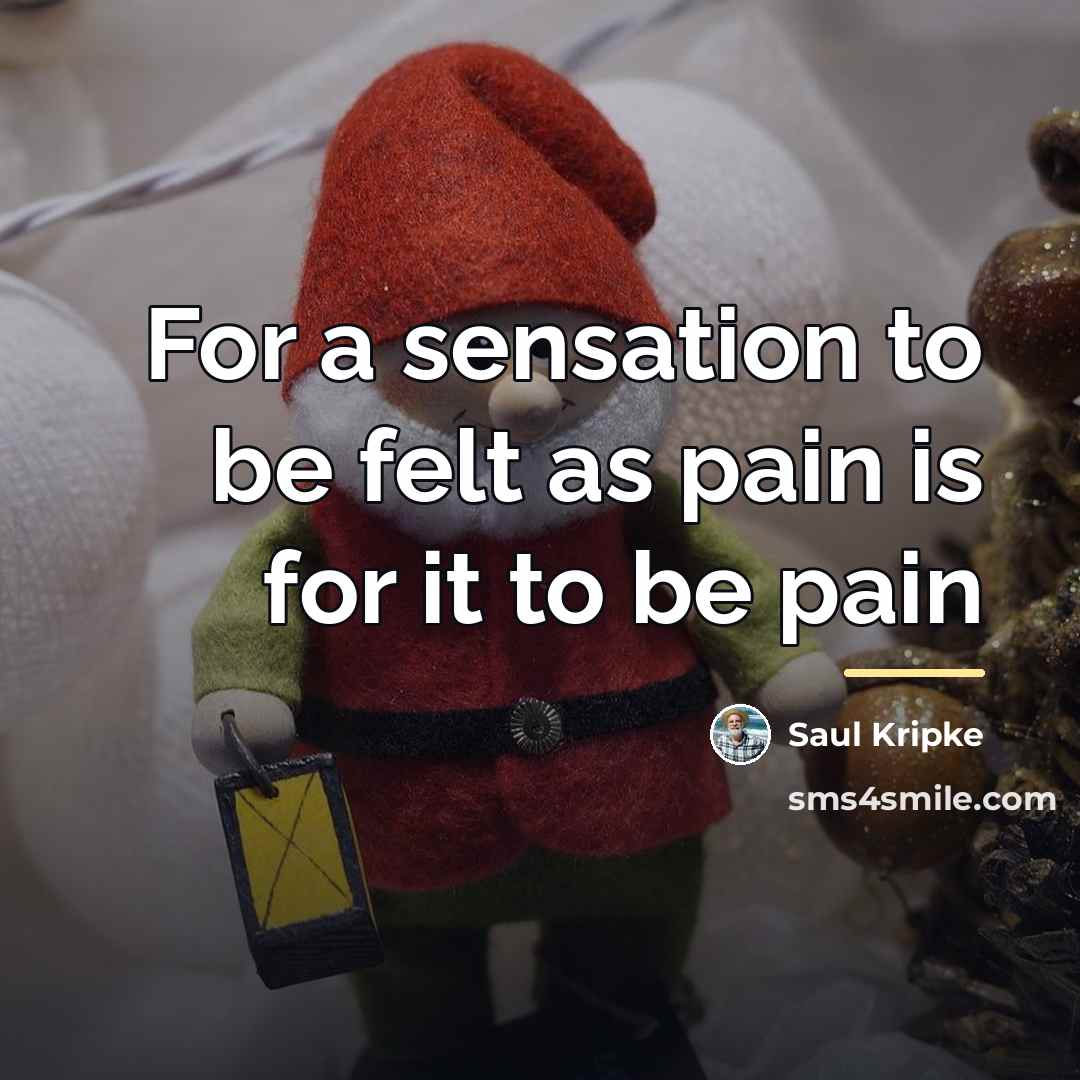 “For a sensation to be felt as pain is for…” quote by Saul Kripke