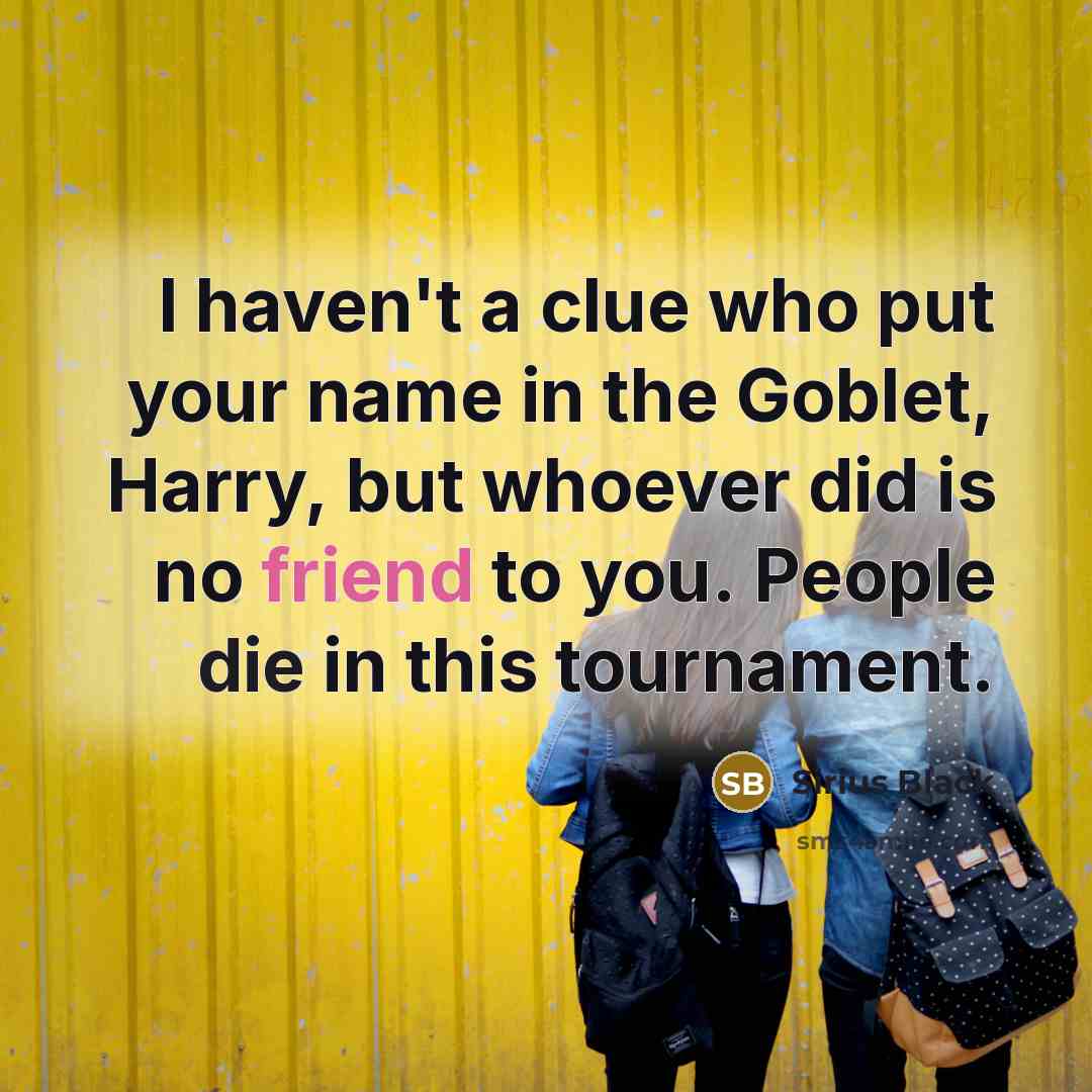 “I haven't a clue who put your name in the…” quote by Sirius Black