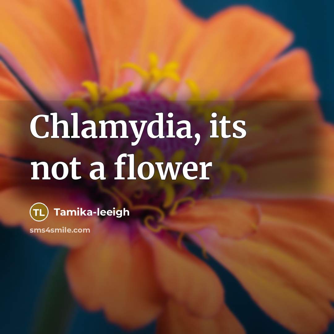 “Chlamydia, its not a flower…” quote by Tamika-leeigh
