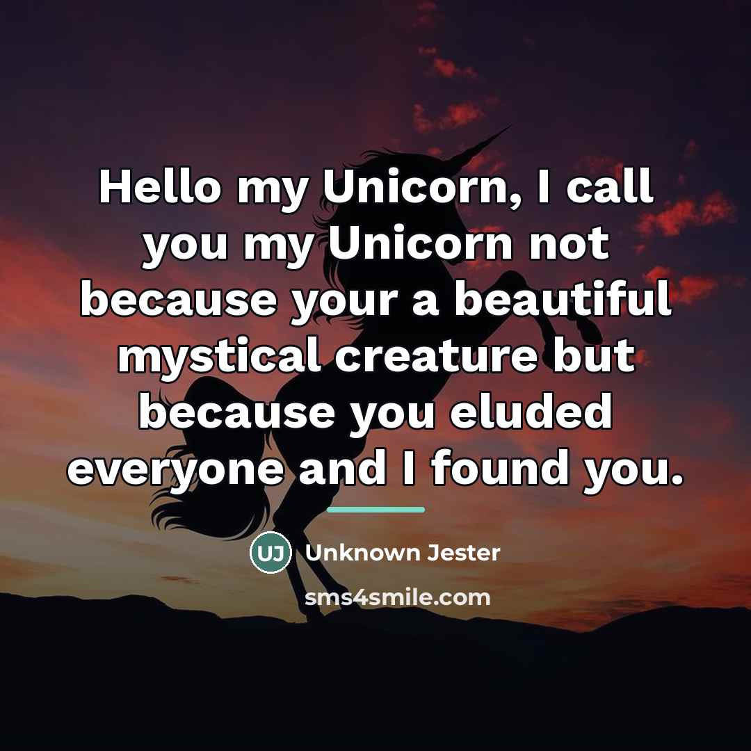 “Hello my Unicorn, I call you my Unicorn not because…” quote by Anonymous