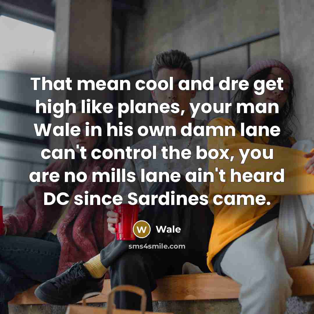 “That mean cool and dre get high like planes, your man Wale in his own damn lane can't control the box, you are no mills lane ain't heard DC since Sardines came.” quote by Wale