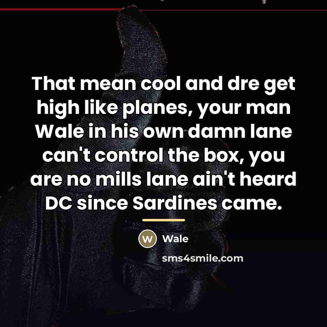 “That mean cool and dre get high like planes, your…” quote by Wale