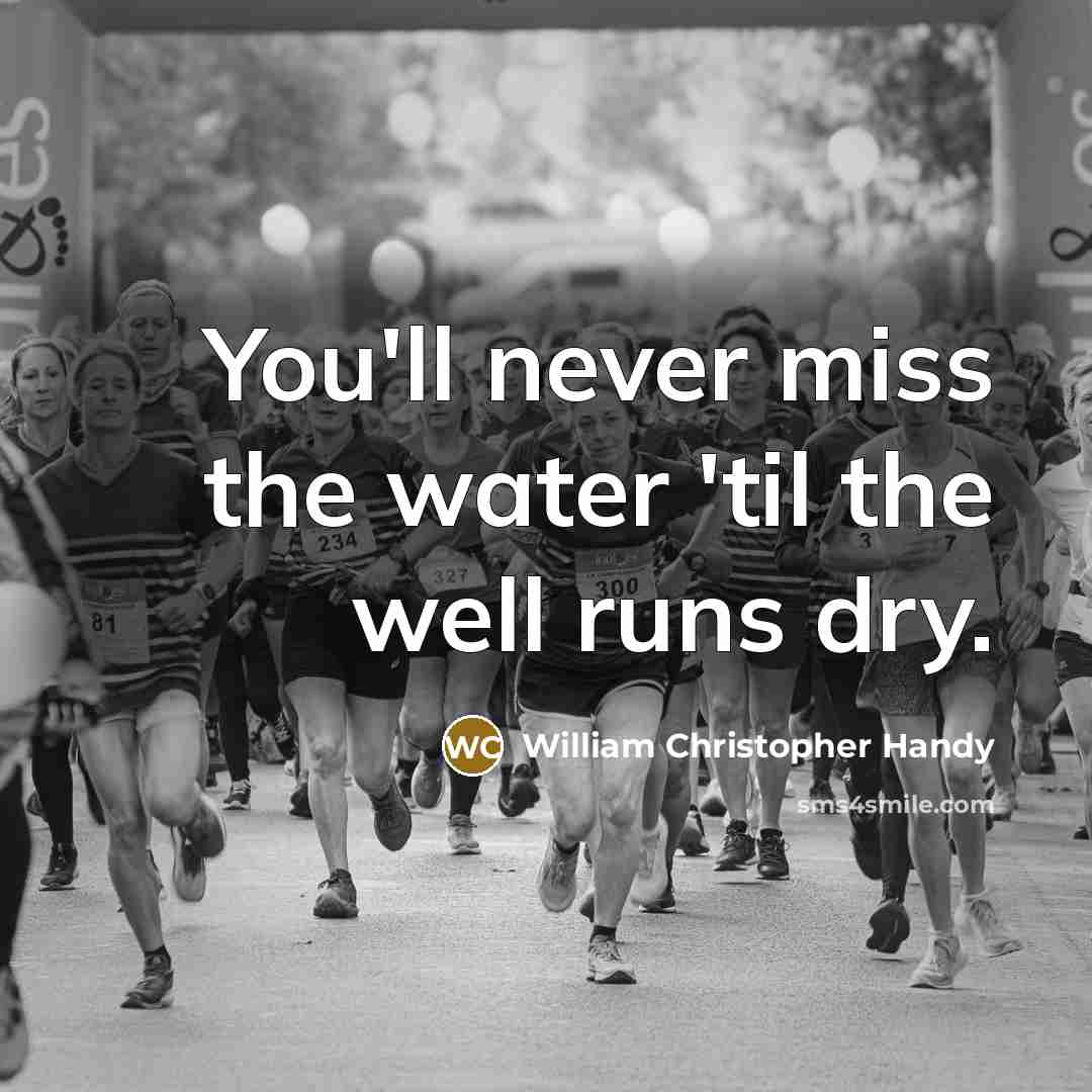“You'll never miss the water 'til the well runs dry.…” quote by William Christopher Handy