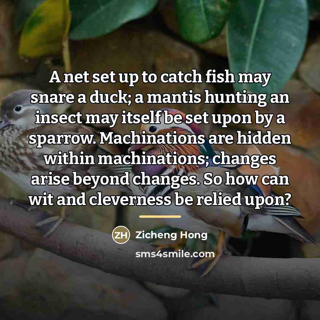 “A net set up to catch fish may snare a…” quote by Zicheng Hong