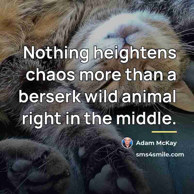 “Nothing heightens chaos more than a berserk wild animal right…” quote by Adam McKay