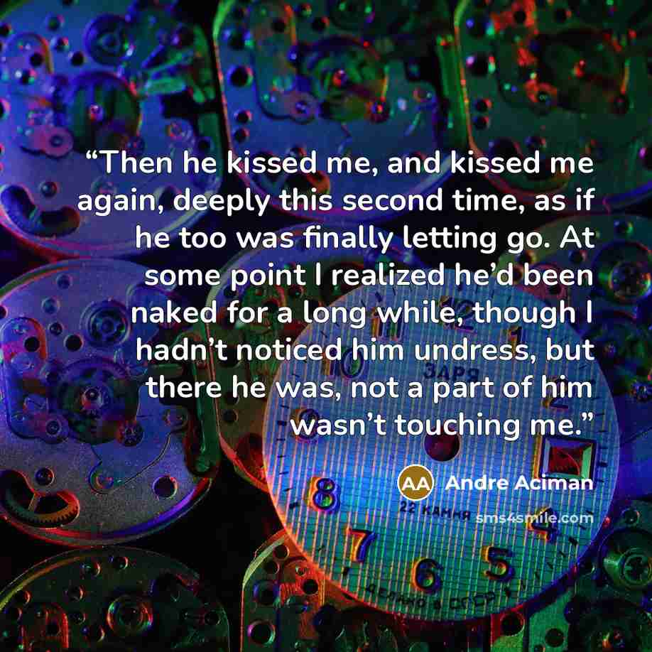 “Then he kissed me, and kissed me again, deeply this second time, as if he too was finally letting go. At some point I realized he’d been naked for a long while, though I hadn’t noticed him undress, but there he was, not a part of him wasn’t touching me.” quote by André Aciman
