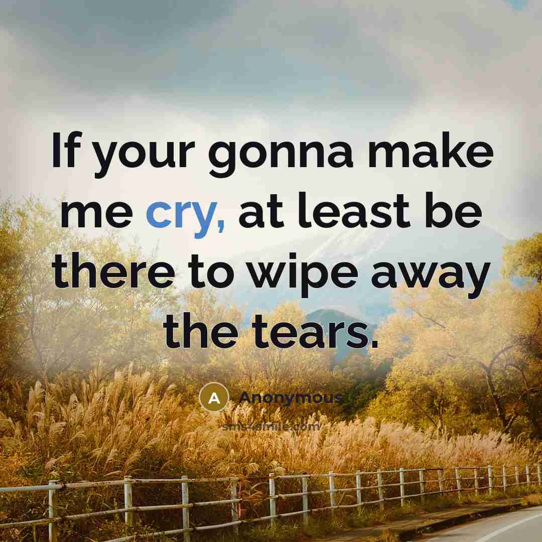 “If your gonna make me cry, at least be there to wipe away the tears.” quote by Anonymous