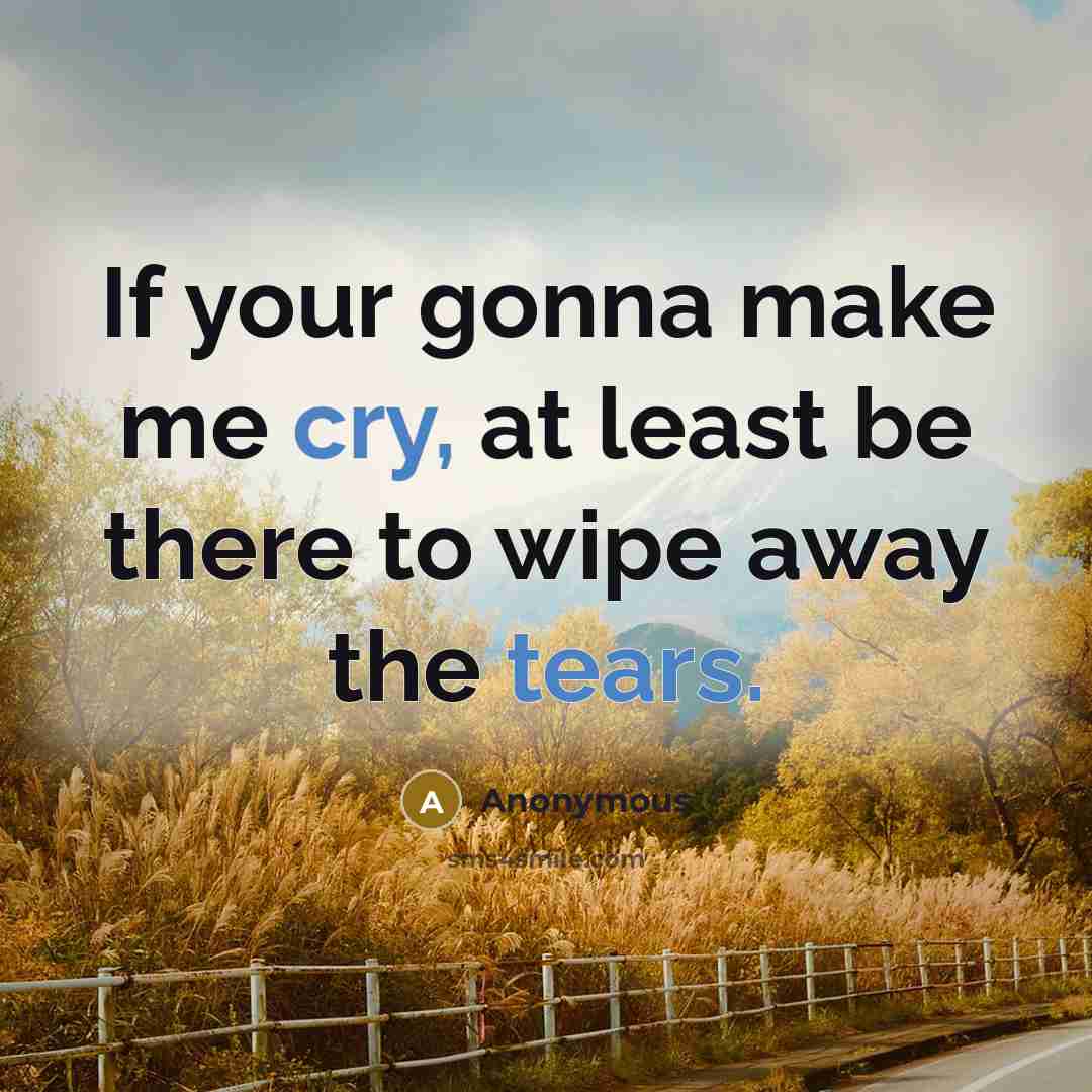“If your gonna make me cry, at least be there to wipe away the tears.” quote by Anonymous