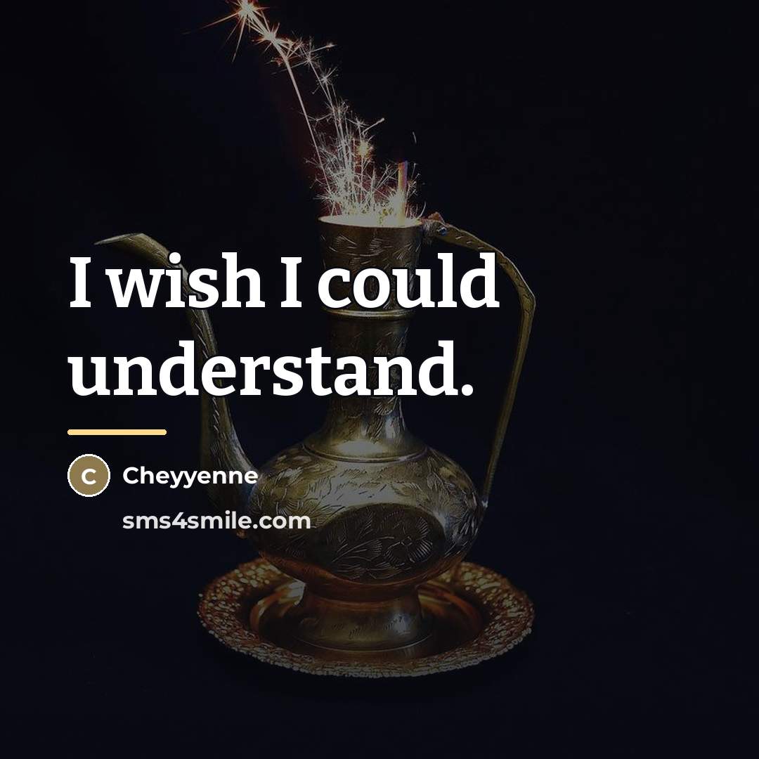 “I wish I could understand.…” quote by Cheyyenne