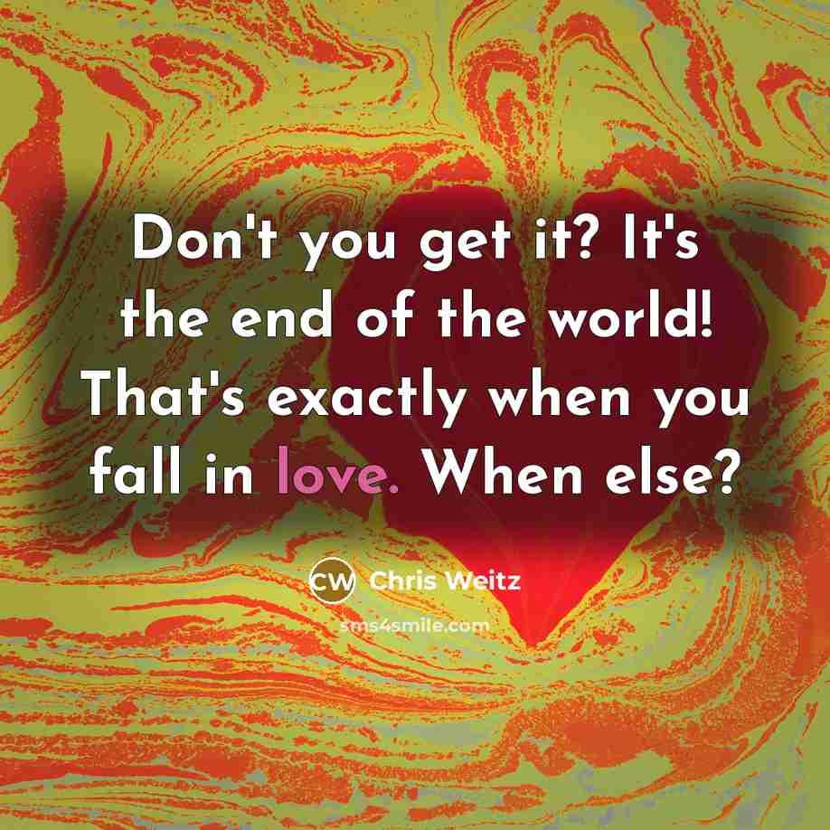 “Don't you get it? It's the end of the world!…” quote by Chris Weitz