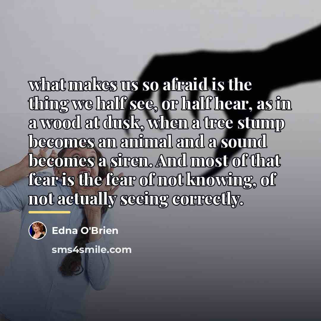 “what makes us so afraid is the thing we half…” quote by Edna O'Brien