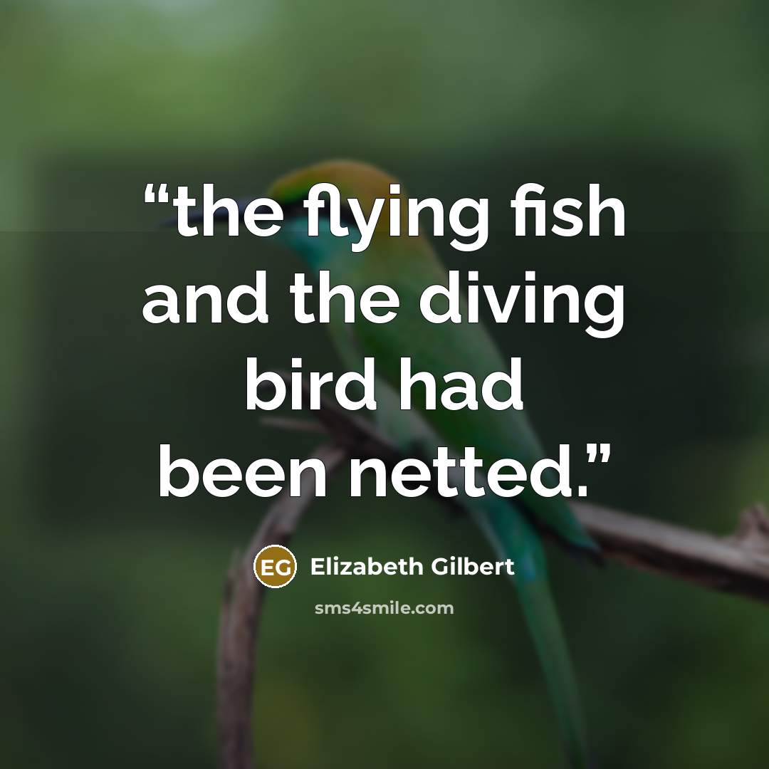 “the flying fish and the diving bird had been netted.” quote by Elizabeth Gilbert