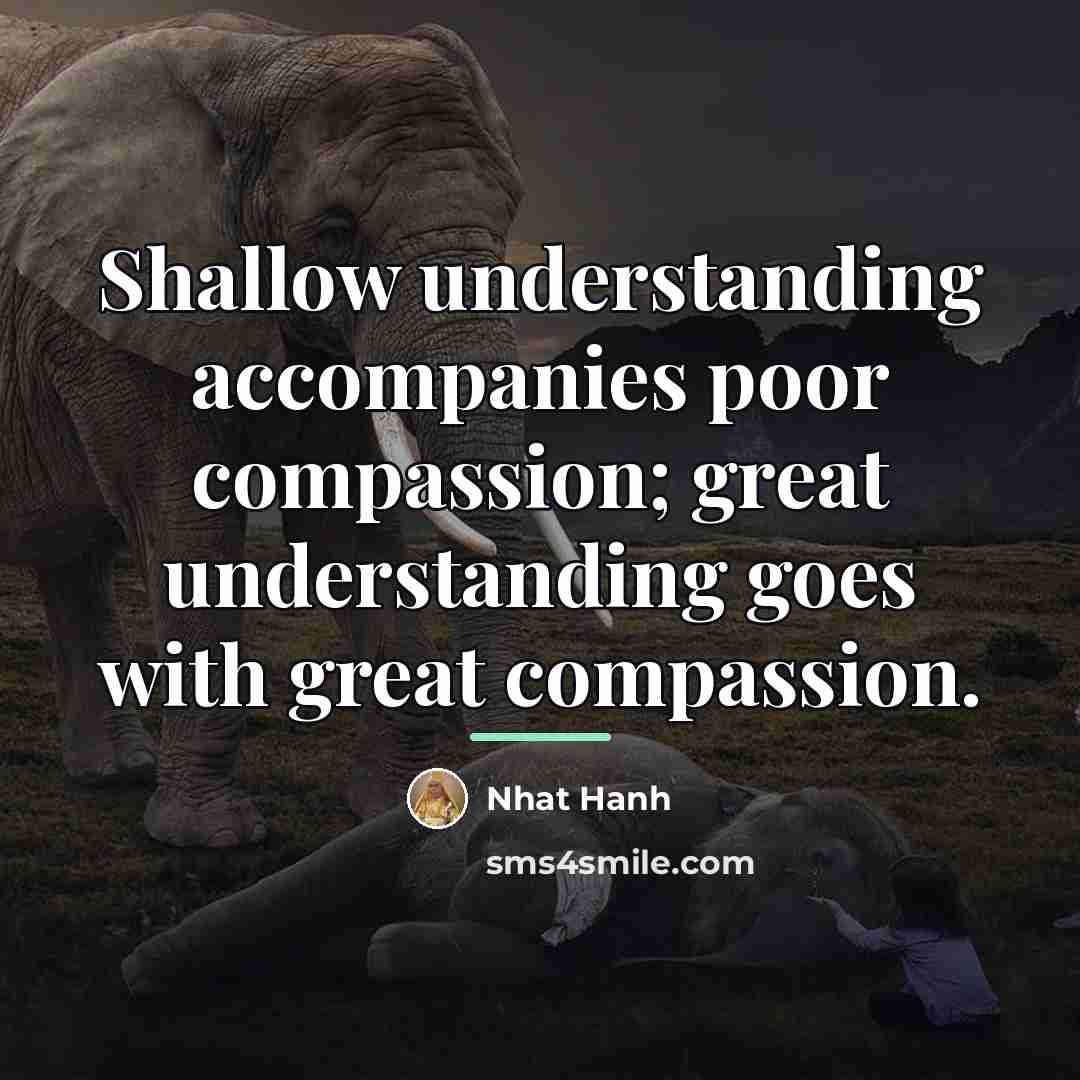 “Shallow understanding accompanies poor compassion; great understanding goes with great…” quote by Nhat Hanh