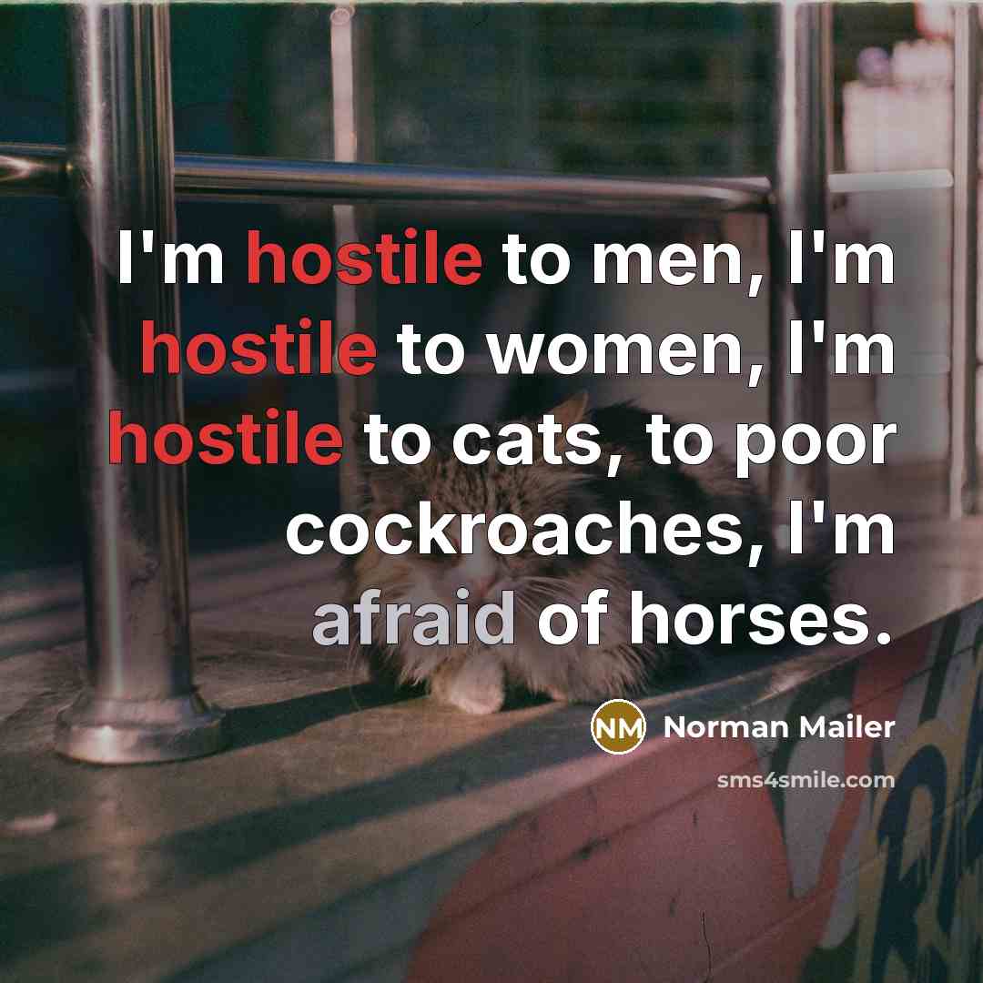 “I'm hostile to men, I'm hostile to women, I'm hostile…” quote by Norman Mailer